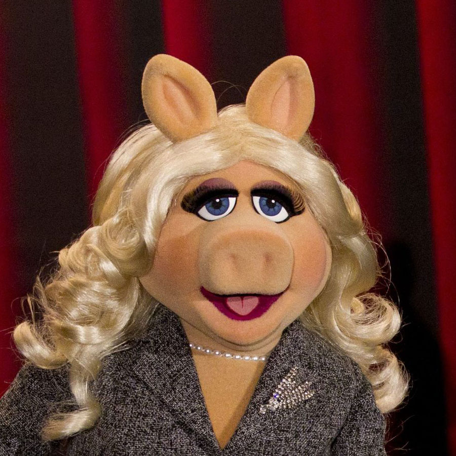Missing: Miss Piggy